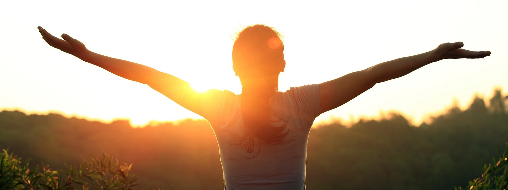 نرم افزار ارتوپدی CDM