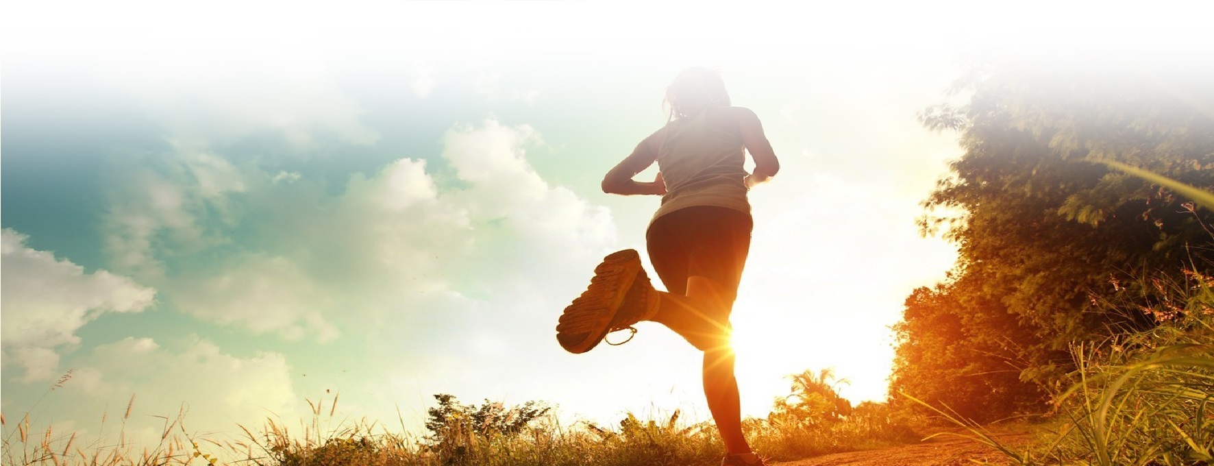 نرم افزار ارتوپدی CDM